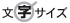 �����T�C�Y