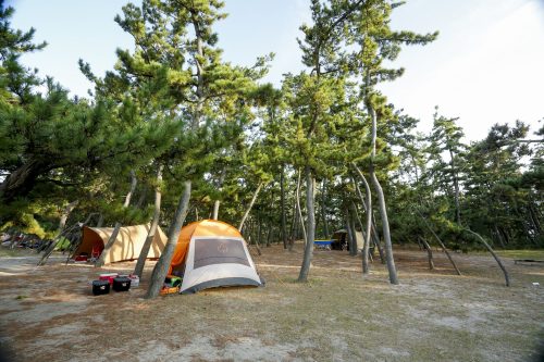 浜坂県民サンビーチ　松の庭