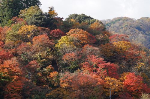 清正公園紅葉