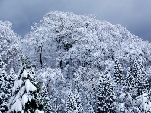雪景色
