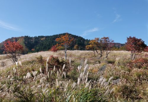 上山高原