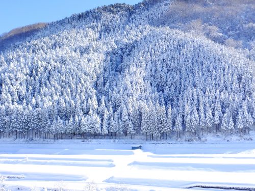 雪景色