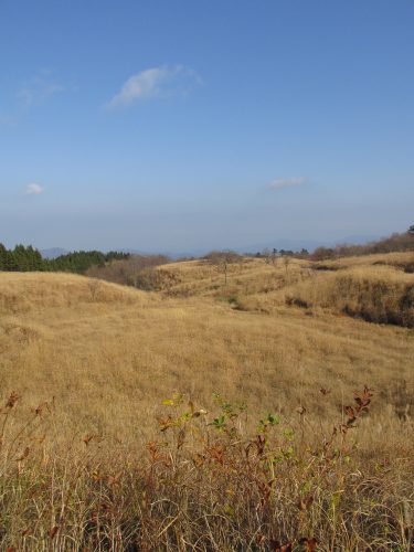 上山高原