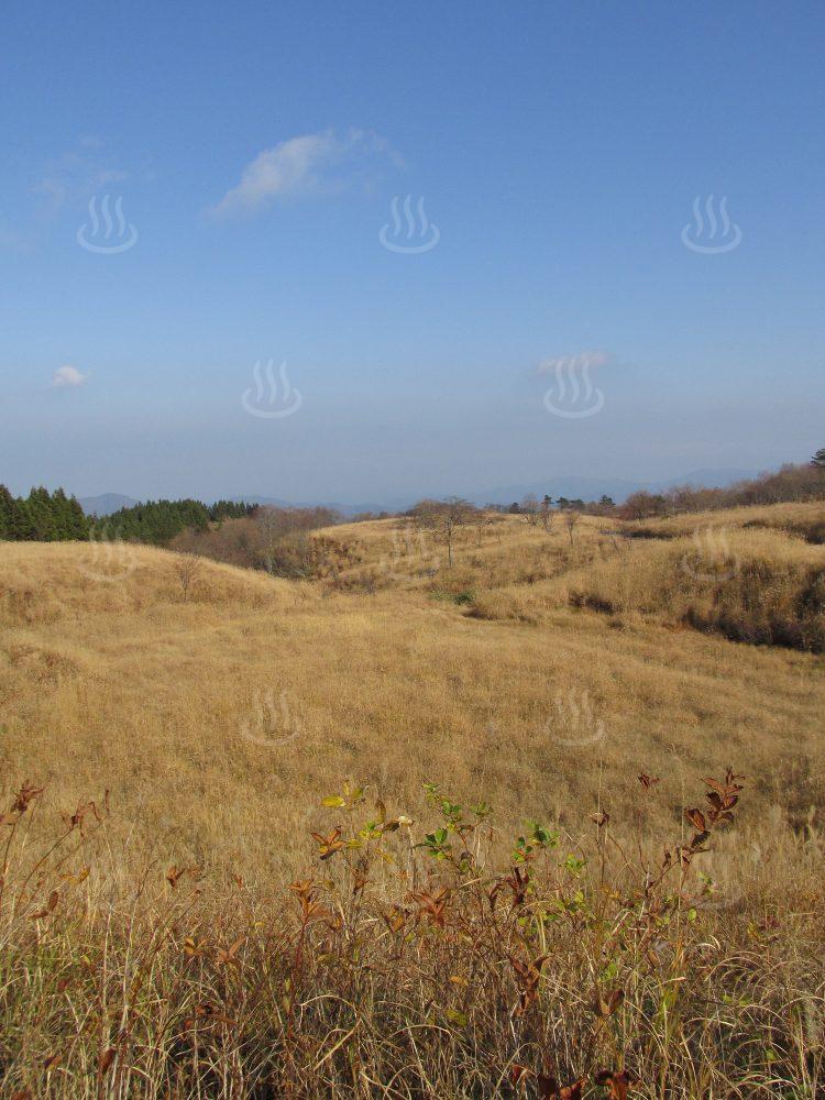 上山高原