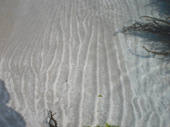 ▲浅瀬にできた波模様（漣痕）