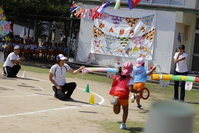 どんだけ～走る！さくらリレー