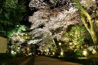 八幡神社（平成18年4月14日）