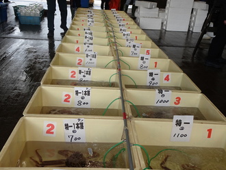 選別するランクは100種類以上！