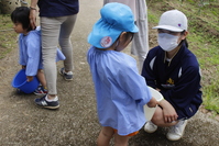 「こんなに採れたよ」　(大庭認定こども園)