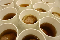 スープ