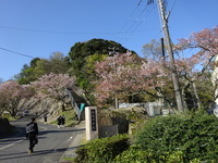 中学生の爽やかなあいさつは、小学生の良き手本です。