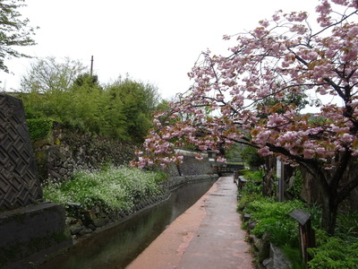 雨の味原川