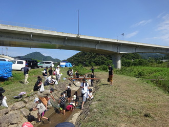 岸田川まつり　アユのつかみ取り体験