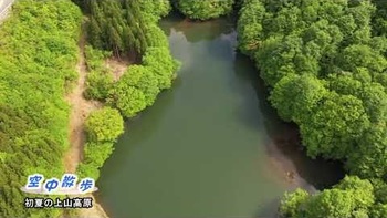 初夏の上山高原