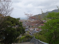 浜坂中学校のみなさんへ　長い長い階段を上りきると見えるこの美しい景色