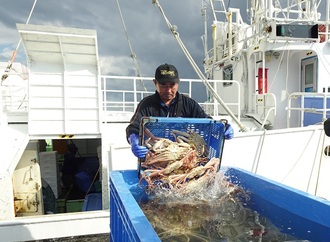 活かしたまま船から水槽へ