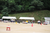 ロデオサッカー　