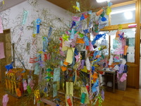 浜坂西小学校の七夕の笹飾りには、願い事がいっぱいです。