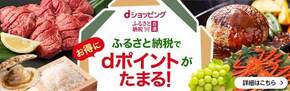 dショッピングふるさと納税