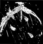 「雨」　奎星賞