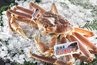 浜坂産 松葉がに