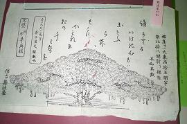 ５代目五源太の長女お真が１１歳でお伊勢参りをしたときにお土産として持ち帰ったもの。（難波屋の松の版画）