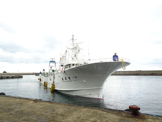 競りの時間に合わせて帰港