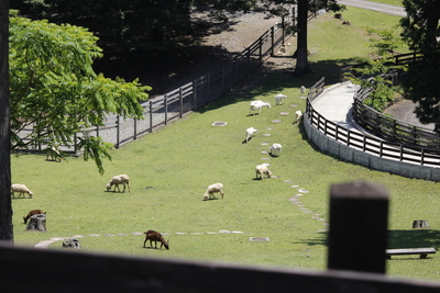 牧場公園