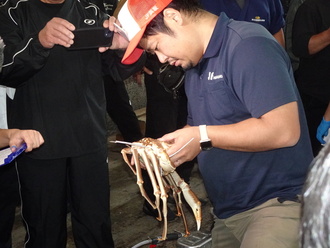 煌星の基準に合っているかを確認