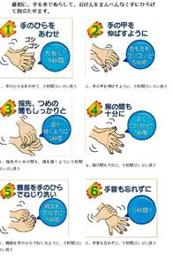 手洗いの方法