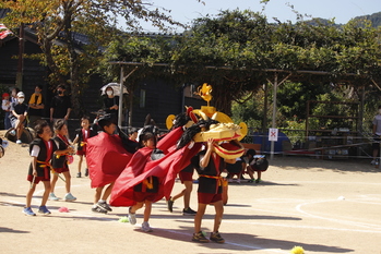 浜坂認定こども園　麒麟獅子舞い大好き!